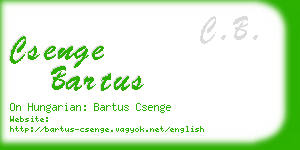 csenge bartus business card